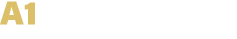 A1