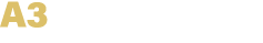 A3