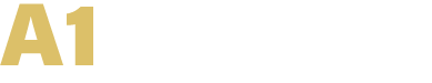A1