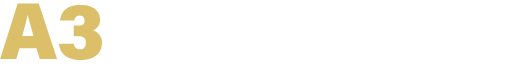 A3