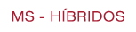 MS H BRIDOS