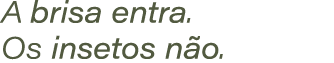 A brisa entra. Os insetos n o.